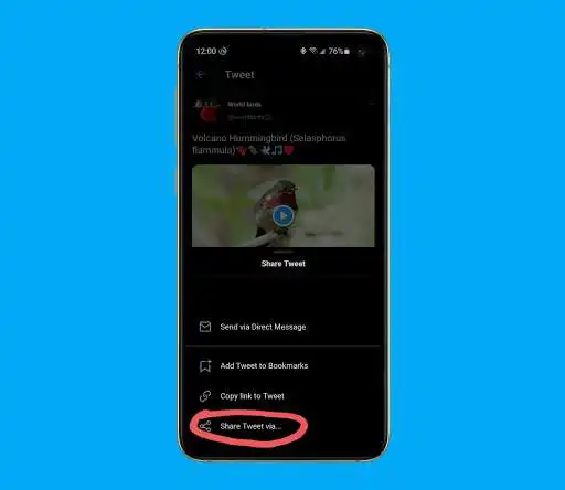 Play Twitvid - Download Twitter Videos  and enjoy Twitvid - Download Twitter Videos with UptoPlay