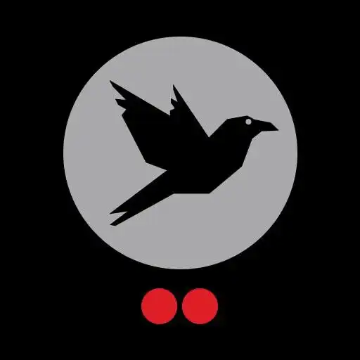 Play TwoDots Raven APK