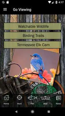 Play TWRA