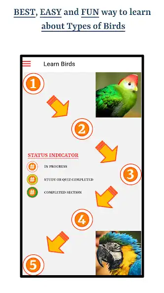 Play Types Of Birds  and enjoy Types Of Birds with UptoPlay
