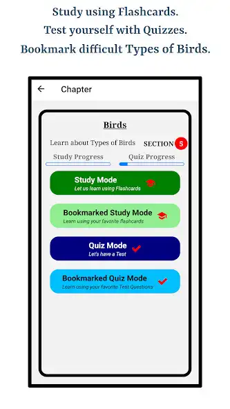 Play Types Of Birds as an online game Types Of Birds with UptoPlay