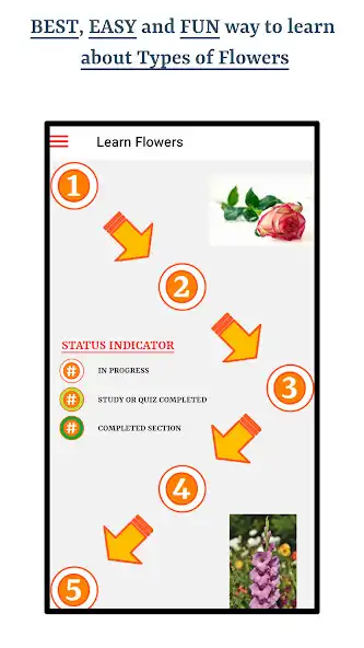 Play Types Of Flowers  and enjoy Types Of Flowers with UptoPlay