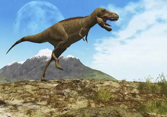 Play Tyrannosaurus Rex Jigsaw