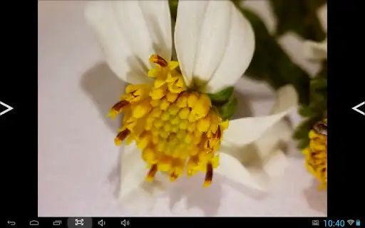 Play Ucam plus as an online game online Ucam plus with UptoPlay com.kopa_android.UCam.plus Play Ucam plus as an online game Ucam plus with UptoPlay