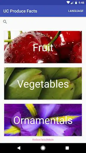 Play UC Produce Facts