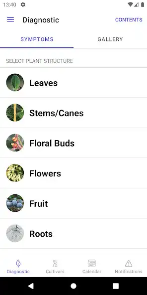 Play UF Blueberry Growers Guide as an online game UF Blueberry Growers Guide with UptoPlay