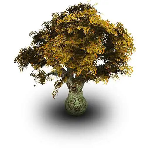 Play Uganda Tree Species Finder APK Play Uganda Tree Species Finder APK