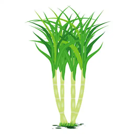 Play UK Cane App APK Play UK Cane App APK