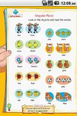 Play UKG- Singular Plural Opposites