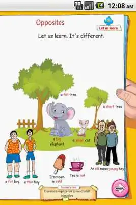 Play UKG- Singular Plural Opposites