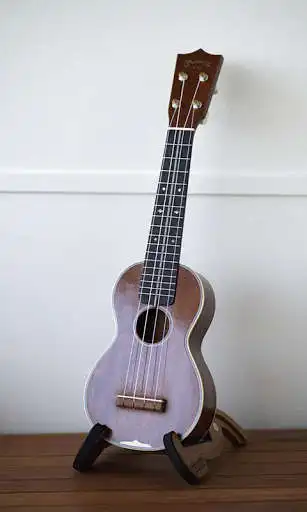 Play Ukulele Wallpaper