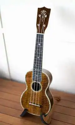Play Ukulele Wallpaper