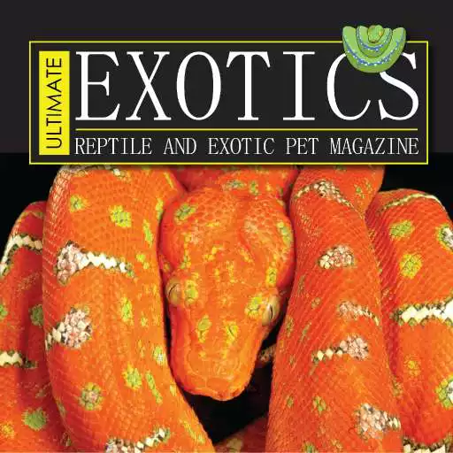 Free play online Ultimate Exotics APK