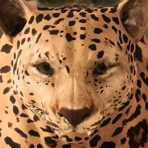 Play Ultimate Leopard Simulator APK