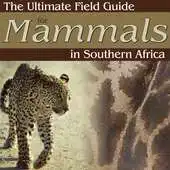 Free play online Ultimate Mammals Africa APK