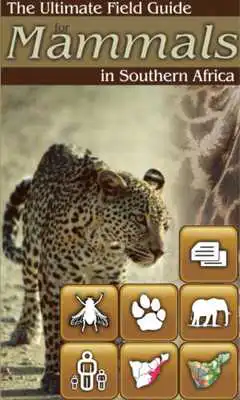 Play Ultimate Mammals Africa