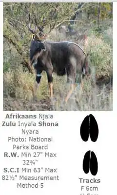 Play Ultimate Mammals Africa
