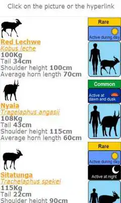 Play Ultimate Mammals Africa