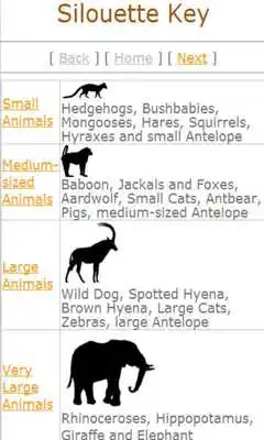 Play Ultimate Mammals Africa