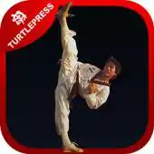 Free play online Ultimate Martial Arts Training APK