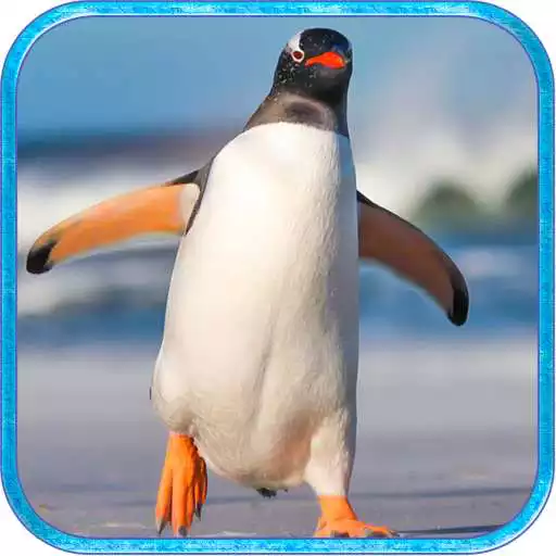 Free play online Ultimate Penguin Simulator APK Free play online Ultimate Penguin Simulator APK