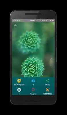 Play Ultimate Wallpapers Play Ultimate Wallpapers