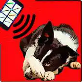 Free play online Ultrasound for Dogs Joke APK