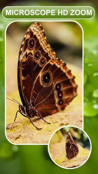 Play Ultra Zoom Microscope Camera  and enjoy Ultra Zoom Microscope Camera with UptoPlay