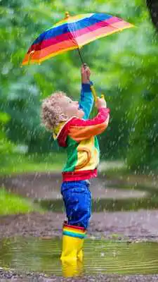 Play Umbrella Live Wallpaper