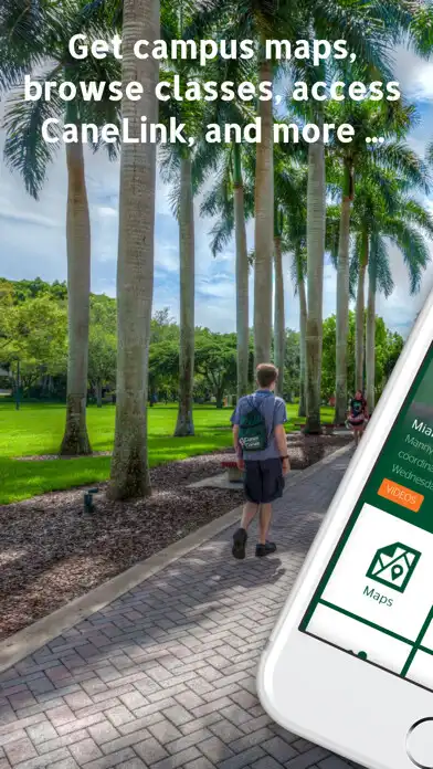 Play UMiami as an online game UMiami with UptoPlay