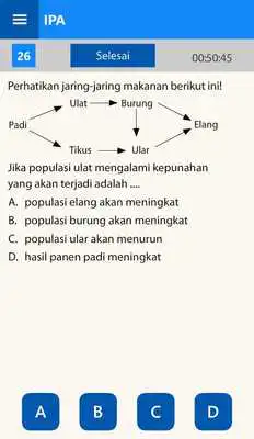 Play UNBK SMP