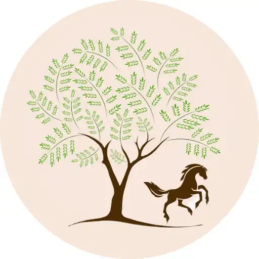 Play Unbound Script APK