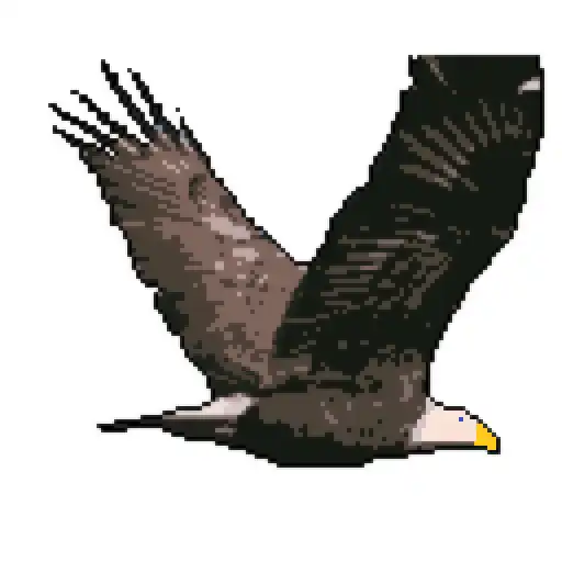 Play Uncle Ca-Caw APK