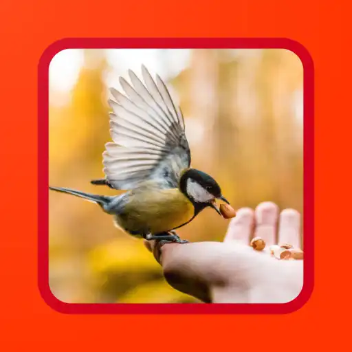 Play Uncommon Wallpapers 4K HD APK