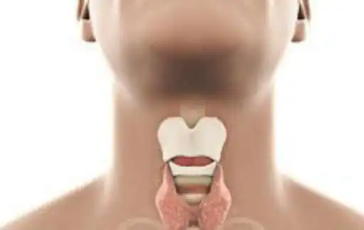 Play underactive thyroid