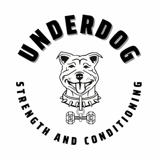 Play Underdog SandC APK Play Underdog SandC APK