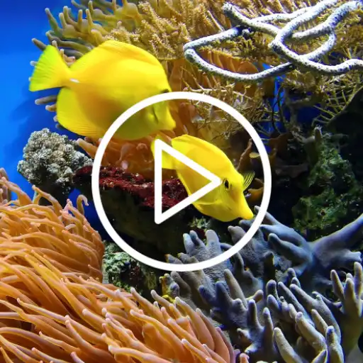 Play Under Ocean Live Wallpaper APK