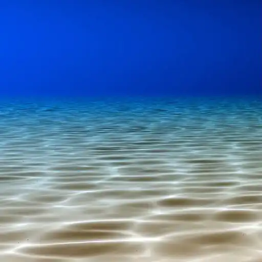Play Under the Sea Wallpaper Pro APK