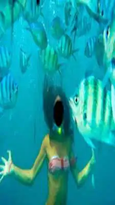 Play Under Water Camera Play Under Water Camera