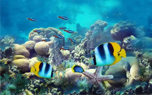 Play Underwater Fishes Live Wallpaper
