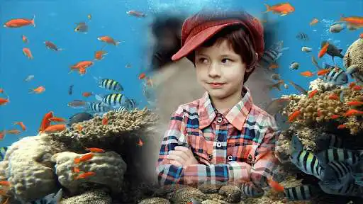 Play Underwater Frames Photo as an online game online Underwater Frames Photo with UptoPlay com.droidpixel.underwaterframesphoto Play Underwater Frames Photo as an online game Underwater Frames Photo with UptoPlay