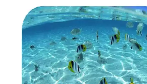Free play online Under Water HD Wallpapers  APK