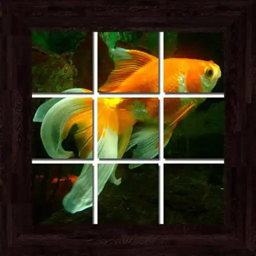 Play Underwater Puzzles - 101 pictures APK Play Underwater Puzzles - 101 pictures APK