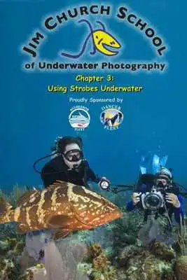 Play Under Water Strobes