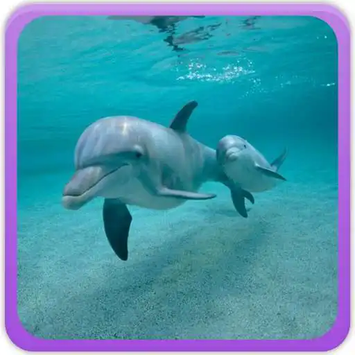 Play Underwater Wallpaper Gallery APK Play Underwater Wallpaper Gallery APK