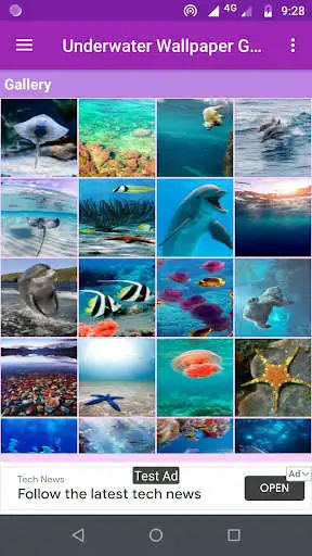 Play Underwater Wallpaper Gallery as an online game Underwater Wallpaper Gallery with UptoPlay