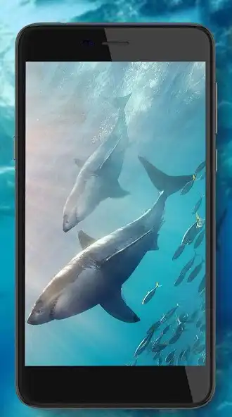 Play Underwater World HD as an online game Underwater World HD with UptoPlay