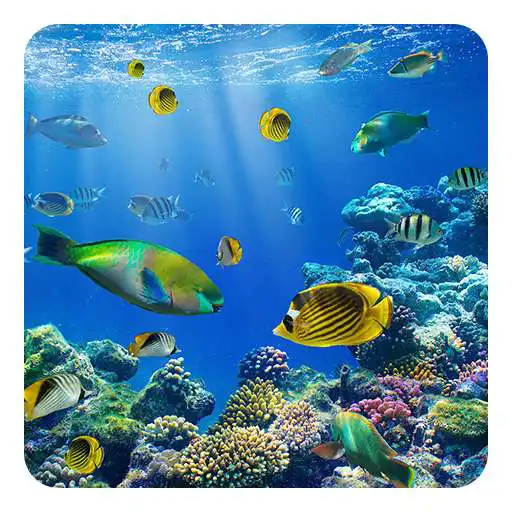Run free android online Underwater World LWP APK Run free android online Underwater World LWP APK