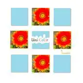 Free play online UniColor APK