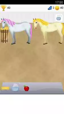 Play unicorn care game